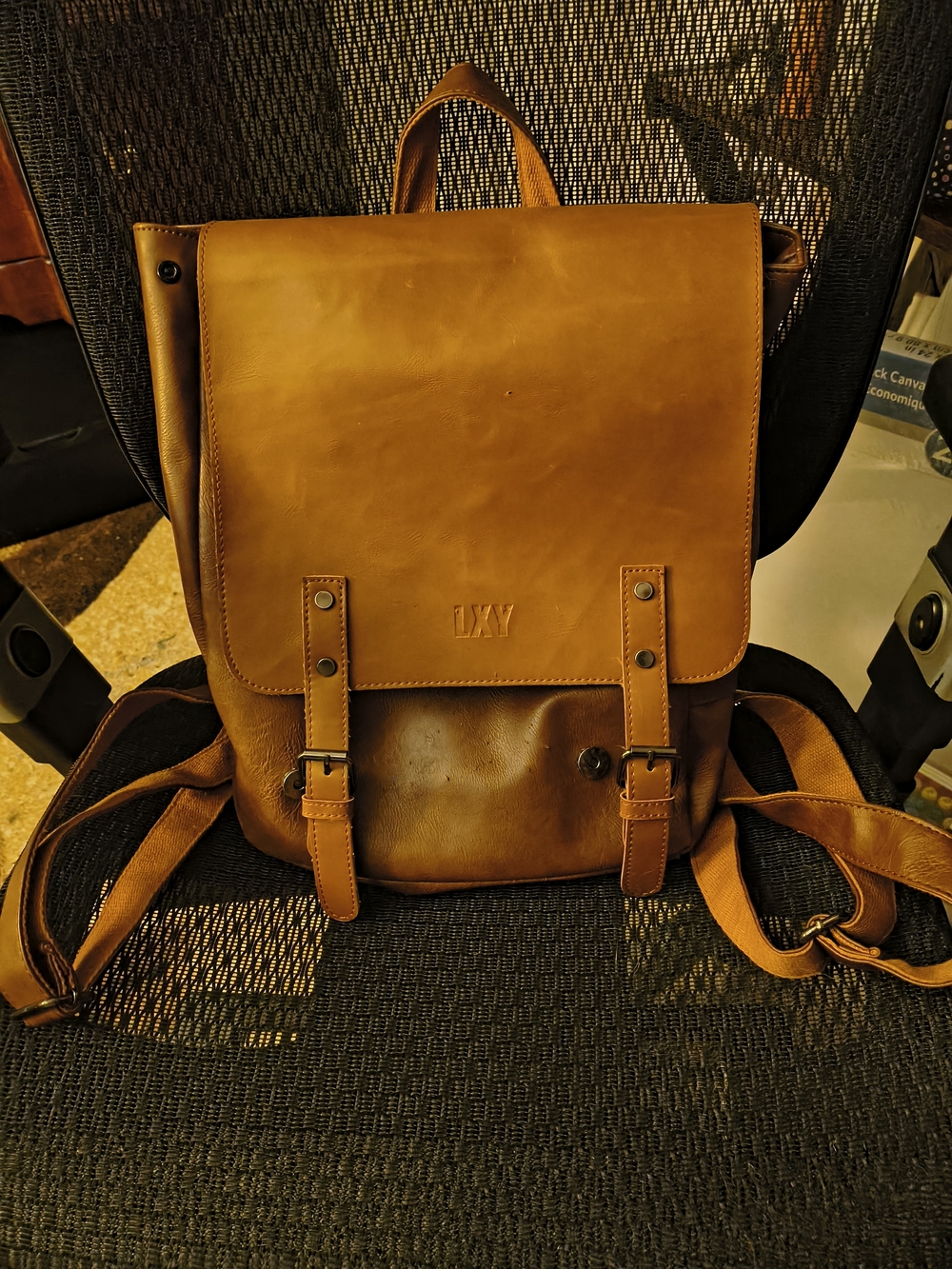 LXY Leather Backpack - Tan